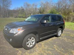 Lexus salvage cars for sale: 2013 Lexus GX 460