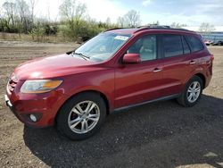 Hyundai salvage cars for sale: 2011 Hyundai Santa FE Limited