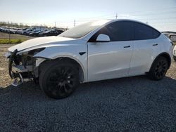 2023 Tesla Model Y en venta en Eugene, OR