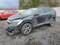 Honda cr-v ex salvage cars for sale: 2019 Honda CR-V EX