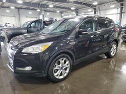 2015 Ford Escape Titanium for sale in Ham Lake, MN