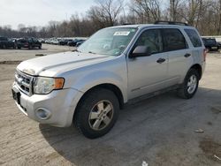 2008 Ford Escape XLT for sale in Ellwood City, PA