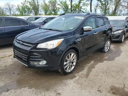 Ford Vehiculos salvage en venta: 2016 Ford Escape SE