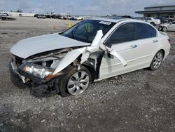 2010 Honda Accord EXL en venta en Earlington, KY