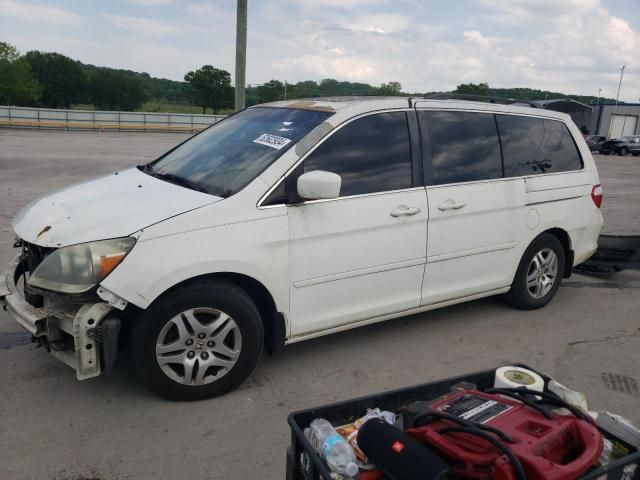 2005 Honda Odyssey EXL