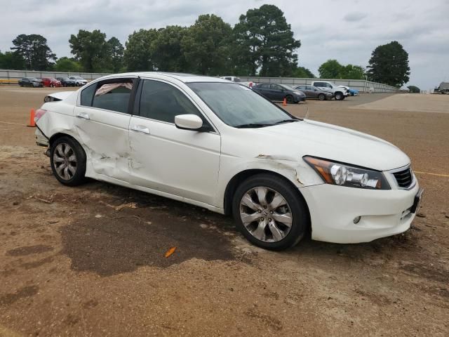 2010 Honda Accord EXL