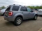 2008 Ford Escape Limited