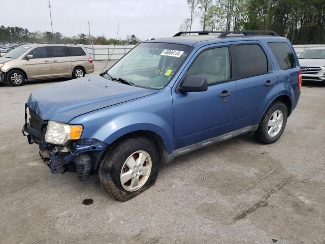 2010 Ford Escape XLT