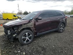 KIA salvage cars for sale: 2016 KIA Sorento EX