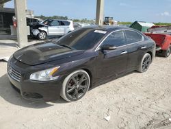 Salvage cars for sale from Copart West Palm Beach, FL: 2014 Nissan Maxima S