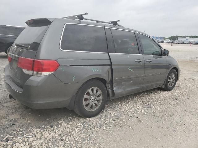 2008 Honda Odyssey EXL