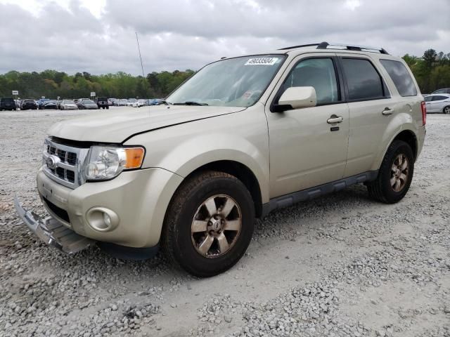 2010 Ford Escape Limited