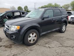 Ford Escape Vehiculos salvage en venta: 2011 Ford Escape XLT