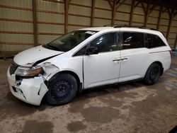 Honda Odyssey ex salvage cars for sale: 2013 Honda Odyssey EX