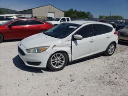 Ford Focus Vehiculos salvage en venta: 2015 Ford Focus SE