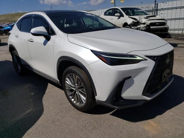 2022 Lexus NX 350H