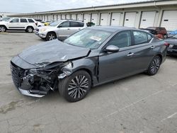 2023 Nissan Altima SV en venta en Louisville, KY