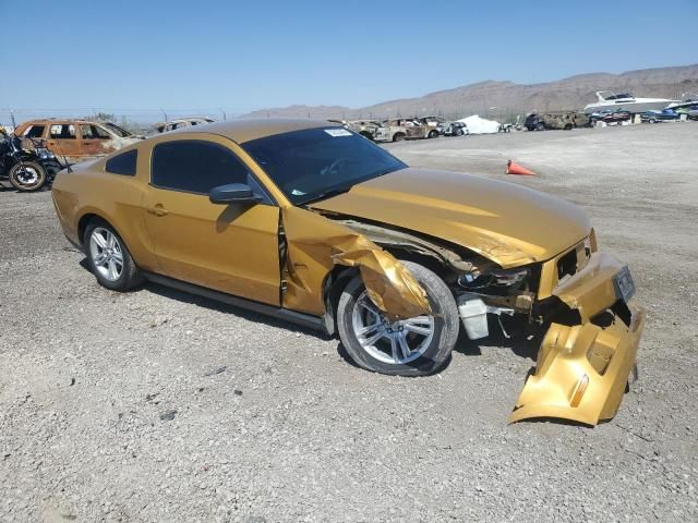 2010 Ford Mustang