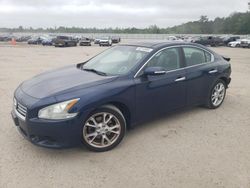 Nissan Maxima S salvage cars for sale: 2014 Nissan Maxima S