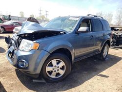 2012 Ford Escape XLT for sale in Elgin, IL
