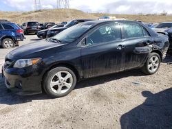 Salvage cars for sale from Copart Littleton, CO: 2011 Toyota Corolla Base