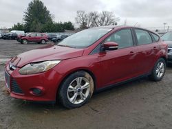 Ford salvage cars for sale: 2013 Ford Focus SE