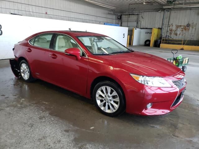 2013 Lexus ES 300H