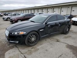 Salvage cars for sale from Copart Louisville, KY: 2015 Jaguar XF 2.0T Premium