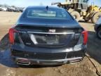 2023 Cadillac CT5 Luxury