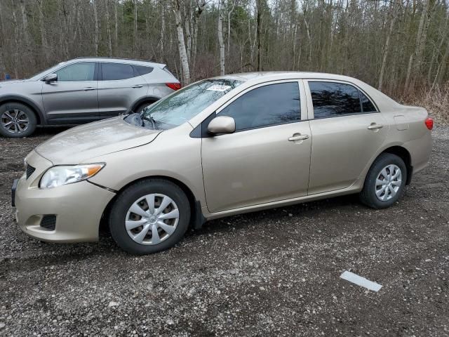 2009 Toyota Corolla Base