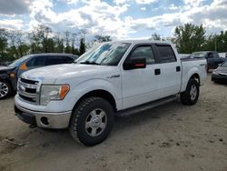 2014 Ford F150 Supercrew en venta en Baltimore, MD