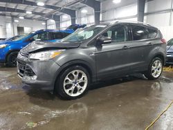 2015 Ford Escape Titanium for sale in Ham Lake, MN