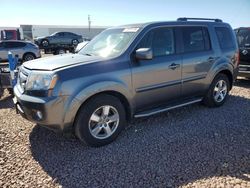 Honda salvage cars for sale: 2010 Honda Pilot EXL