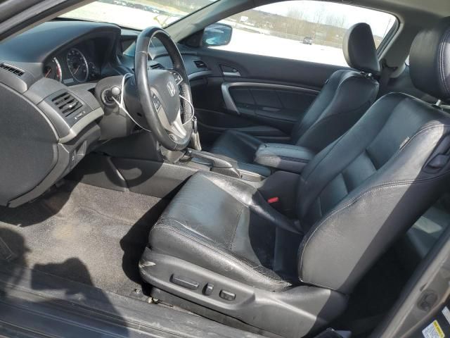 2009 Honda Accord EXL