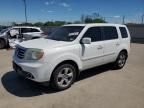 2013 Honda Pilot EXL