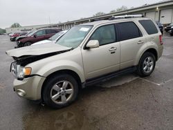 2012 Ford Escape Limited for sale in Louisville, KY