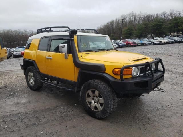 2007 Toyota FJ Cruiser