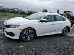 2016 Honda Civic EXL en venta en Eugene, OR