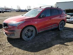 Salvage cars for sale from Copart Rocky View County, AB: 2019 Acura RDX A-Spec
