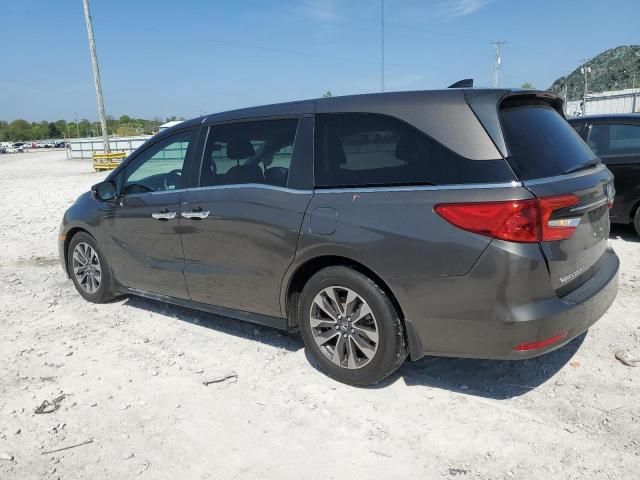 2021 Honda Odyssey EXL