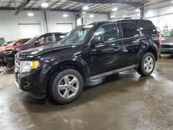 2010 Ford Escape Limited for sale in Ham Lake, MN