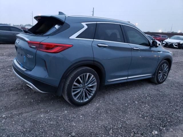 2023 Infiniti QX50 Sensory