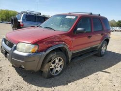 2004 Ford Escape XLT for sale in Conway, AR