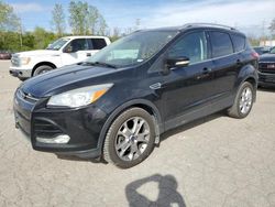 Ford Escape Titanium salvage cars for sale: 2014 Ford Escape Titanium