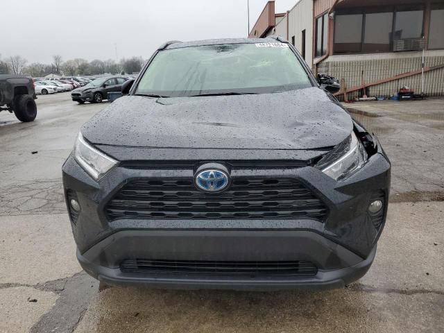 2021 Toyota Rav4 XLE Premium