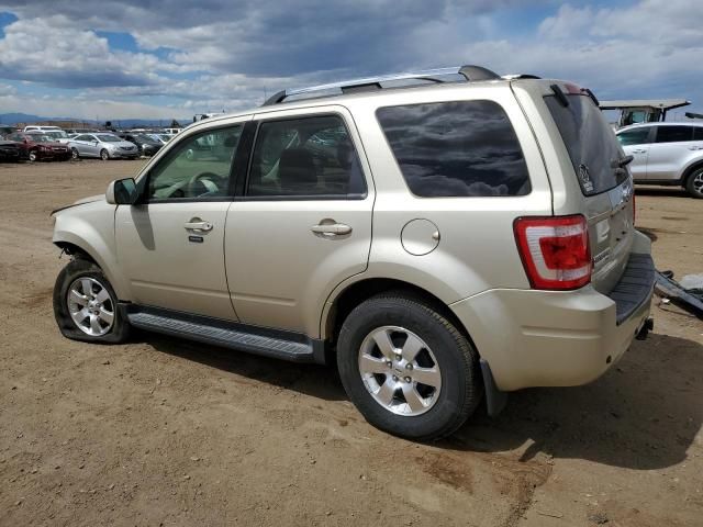 2011 Ford Escape Limited