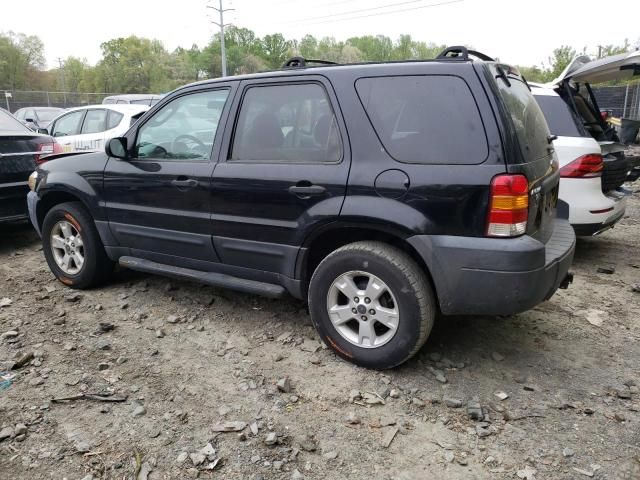 2005 Ford Escape XLT