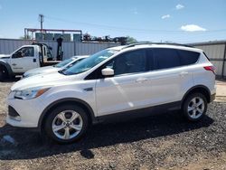 2014 Ford Escape SE en venta en Kapolei, HI