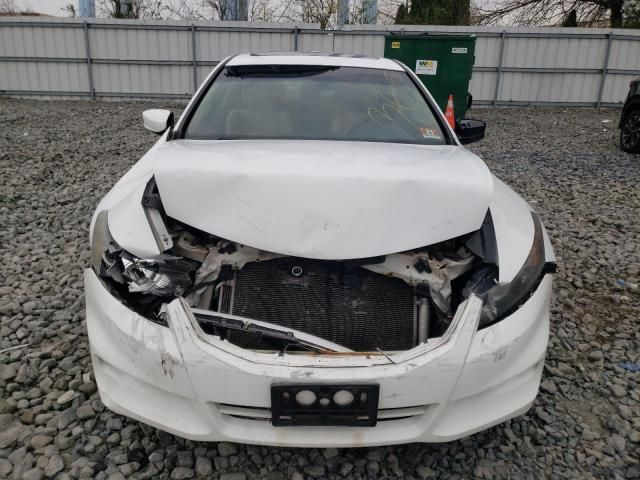 2011 Honda Accord EXL