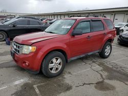 Ford Escape salvage cars for sale: 2010 Ford Escape XLT